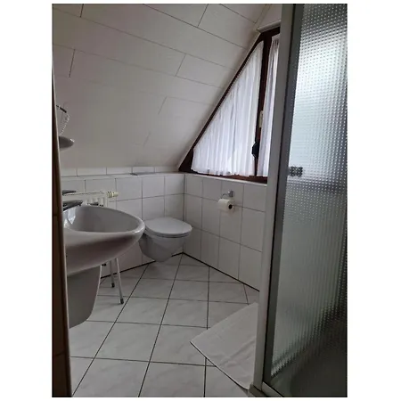 Haus Bachmatt Apartment *