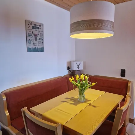 Haus Bachmatt Apartment