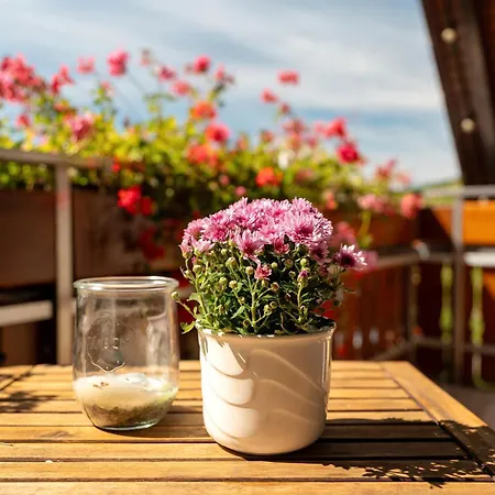 Haus Bachmatt Apartamento *