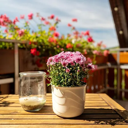 Apartamento Haus Bachmatt Sasbachwalden